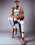 Fans of giannis