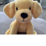 Dogs are awsome!!!!!!