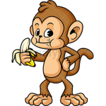 monkey amy