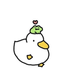 Cute ducklings