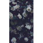 CatBerry club