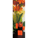 ROBUX MEMBERS ONLY
