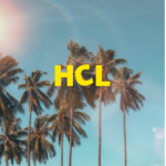--Hawaiian Cruise Lines--