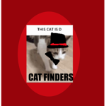 The Cat Finders!