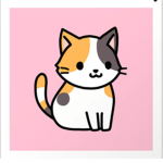 FELINE CAT NATION