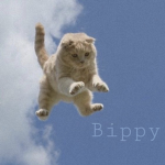 bippy