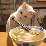 Bowl of soup
