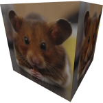 Hamster Shoulder Pet