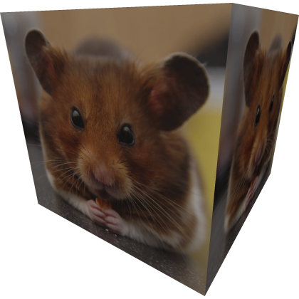 Hamster Shoulder Pet thumbnail