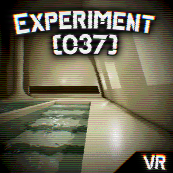 Experiment [037] The Poolrooms [VR  SUPPORT]