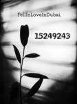 FellInLoveInDubai.