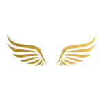 The Wings Kids