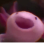 Axolotl world