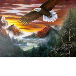 Eagles Incorporated shooting range