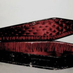 The Black Leather Lagoon