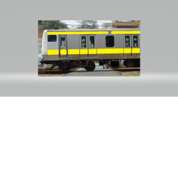 e231