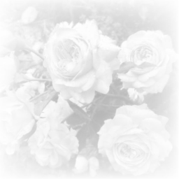 ୨ৎ