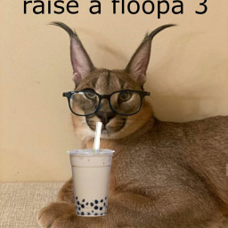 RAISE A FLOOPA 3