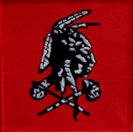 NSW TACDEVRON 4