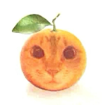 CatShark Studios