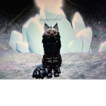 Cool fox’s