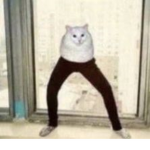 sus_sy