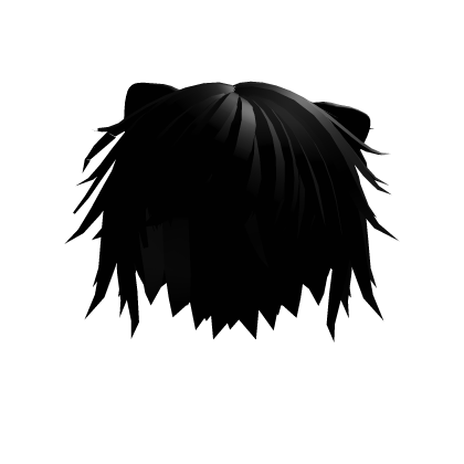 Short Black Fluffy Kitty Hair