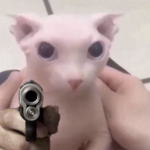 xdXDxDjaksdjas