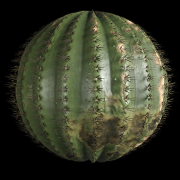 Planet Cactus (WIP)