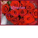Warrior Cats RoseClan