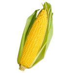 Gamer Corn Procedures