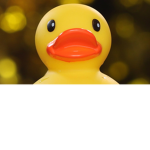 DucksPro