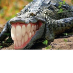 Colgate official