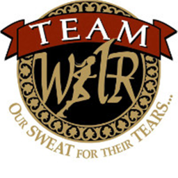 Team fight (BETA)Cheap V.I.P server