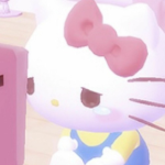 Meow’s clothing