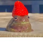 Frog Army membership