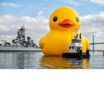 duckwars