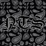 Nothing To Something NTS