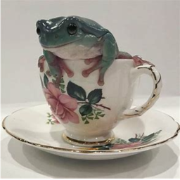 𝚁