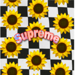 Supreme Squad!!