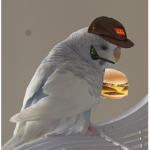 Birb sleepover