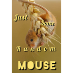 Just some random mouse