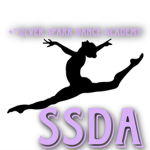 +*Silver Spark Dance Academy*+