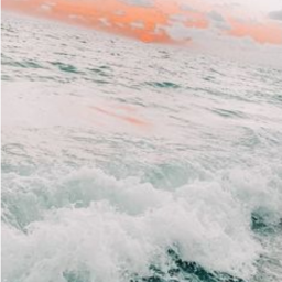 𝘨𝘰