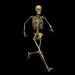 The SKELLYMERCS