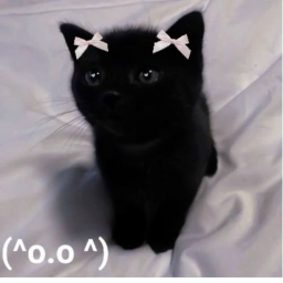 🐾
