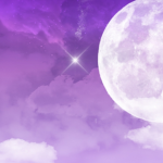 Moonlightsgroup