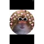 I got u if u need robux