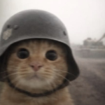 Fuzzgaze