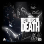 brothers til death-BTD